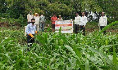 *बुरशीजन्य रोगापासून वनस्पतीचे संरक्षण करण्यासाठी मार्गदर्शन*
