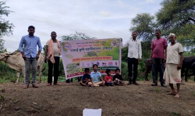 *मुरघास लय खास :- कृषिदूत रोहित कदम*