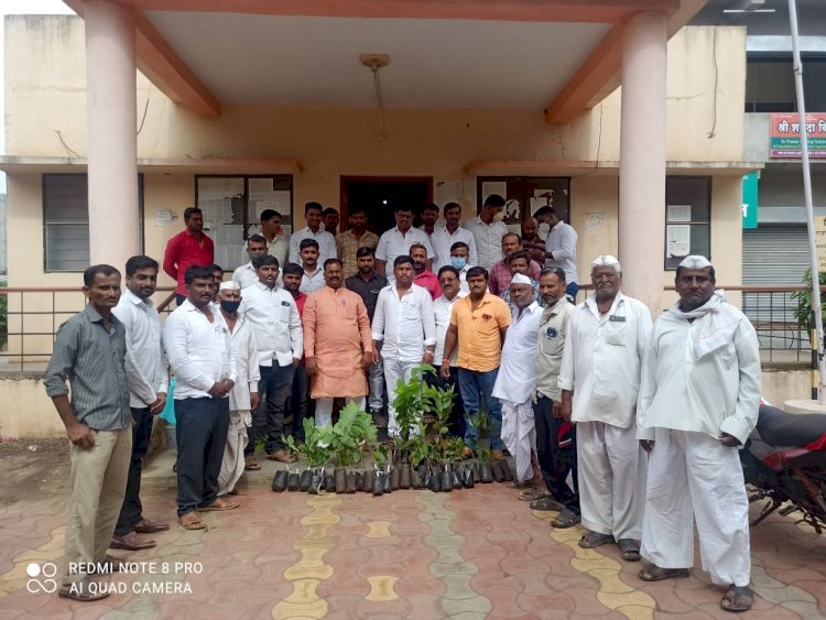 *युवा नेते अभिजीत (आबा) पाटील यांचा वाढदिवस विविध उपक्रमांनी झाला साजरा*   *रक्तदान मध्ये विक्रम, 502 जणांनी केले रक्तदान*,    *ठिकठिकाणी वृक्षारोपण, व भव्य महाआरोग्य, नेत्र तपासणी शिबीरासह विविध कार्यक्रम पडले पार*  *विठ्ठल परिवारातील युवा पिढीचे उद्योजक अभिजीत(आबा)पाटील यांचे भलतेच आकर्षण वाढले*