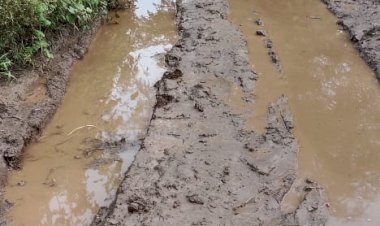 *लोकप्रतिनिधी आणि अधिकाऱ्यांना शेवते - खेडभोसे रस्त्याच्या कामांचा पडला विसर*