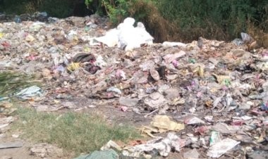 * *सरपंच मळ्यात.... डेंगू मलेरिया चे रुग्ण खाजगी रुग्णालयात......*.!  *ग्रामविकास अधिकाऱ्यांना काय करावे सुचेना* *डेंगू मलेरिया व साथीच्या रोगाचे थैमान*