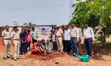 *जागतिक पर्यावरण दिनानिमित्त करकंब येथे सीड बाॅल कार्यशाळा संपन्न* *सामाजिक वनीकरण विभाग पंढरपूर यांच्या वतीने वृक्षारोपण*