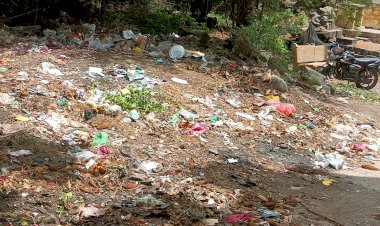 *पार्टी प्रमुखाचे नाही लक्ष.... पुन्हा निवडून येईल का पक्ष...‌..!*  *करकंब अनेक समस्यांच्या विळख्यात.*