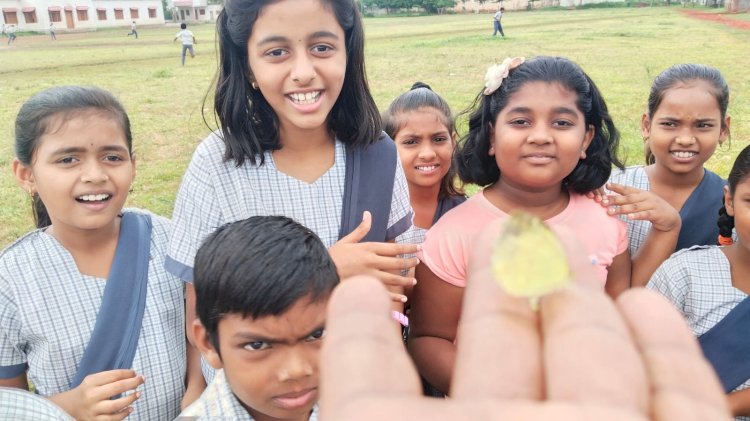 *रामभाऊ जोशी हायस्कूल येथे जागतिक पर्यटन दिवस अनोख्या पध्दतीने साजरा*                                ➖➖➖➖➖                                                   *आज जागतिक पर्यटन दिनाच्या निमित्ताने....*                                                                                                                                                 *फुलपाखरू आपण पाहूया... ‌ सर्वांना दाखवू या..* ‌‌.