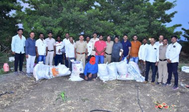 *शेवते येथे शेतात गांजाची लागवड ..!*  *करकंब पोलिसांनी ठोकल्या बेड्या*.