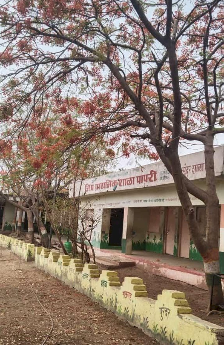 *पापरी जिल्हा परिषद प्राथमिक शाळेचे NMMS व सारथी शिष्यवृत्ती परीक्षेत घवघवीत यश....!*
