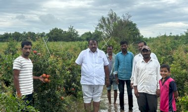 *राष्ट्रवादीचे नेते नागेशदादा फाटे यांचीही  शेतकऱ्यांच्या बांधावर भेट*