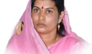 *ना. चिंचोली गावच्या महिला सक्षमीकरण मॉडेलची राज्य शासनाकडून दखल*   *ग्रामपंचायतीला राज्यस्तरीय 'आदिशक्ती पुरस्कार' जाहीर *