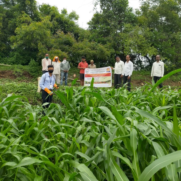 *बुरशीजन्य रोगापासून वनस्पतीचे संरक्षण करण्यासाठी मार्गदर्शन*