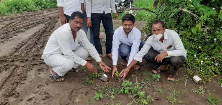 *करकब येथील सौरव देशमुख युवा मंच यांच्या वतीने 425 कुटुंबांना बेलाचे वृक्षांचे वाटप*.
