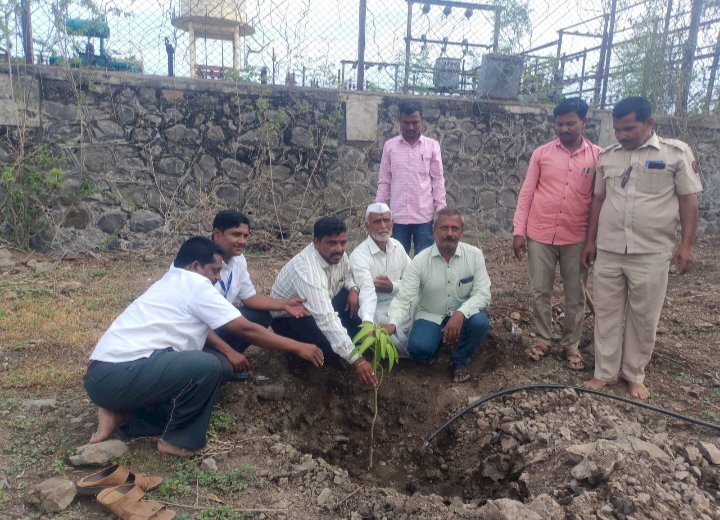 *वीज महावितरण कार्यालय चळे येथे २५१झाडाचे वृक्षारोपण*